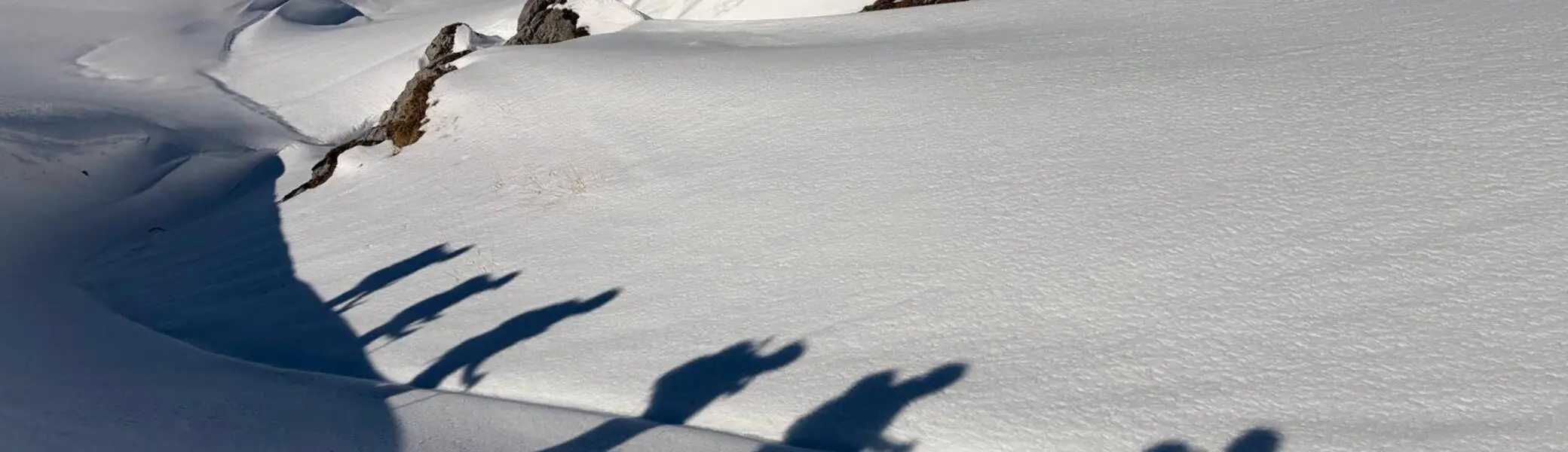 Schatten im Schnee | © DAV Bielefeld