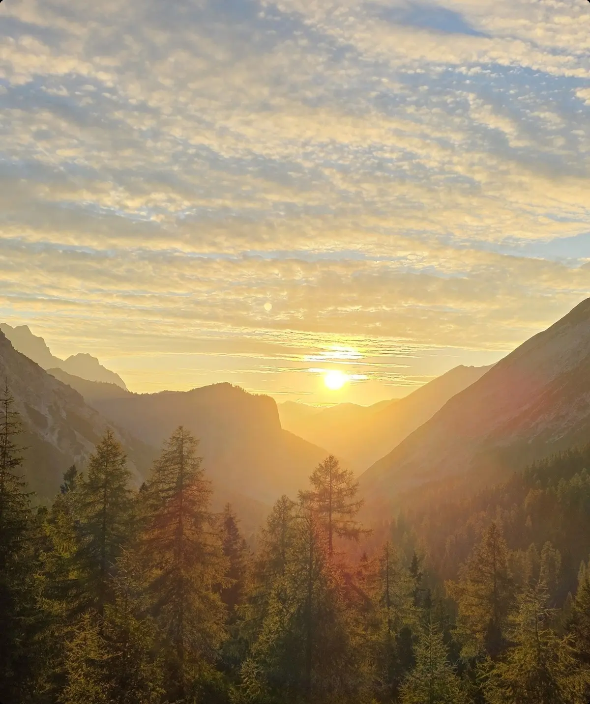 Bianca Brühöfener | © Bianca Brühöfener