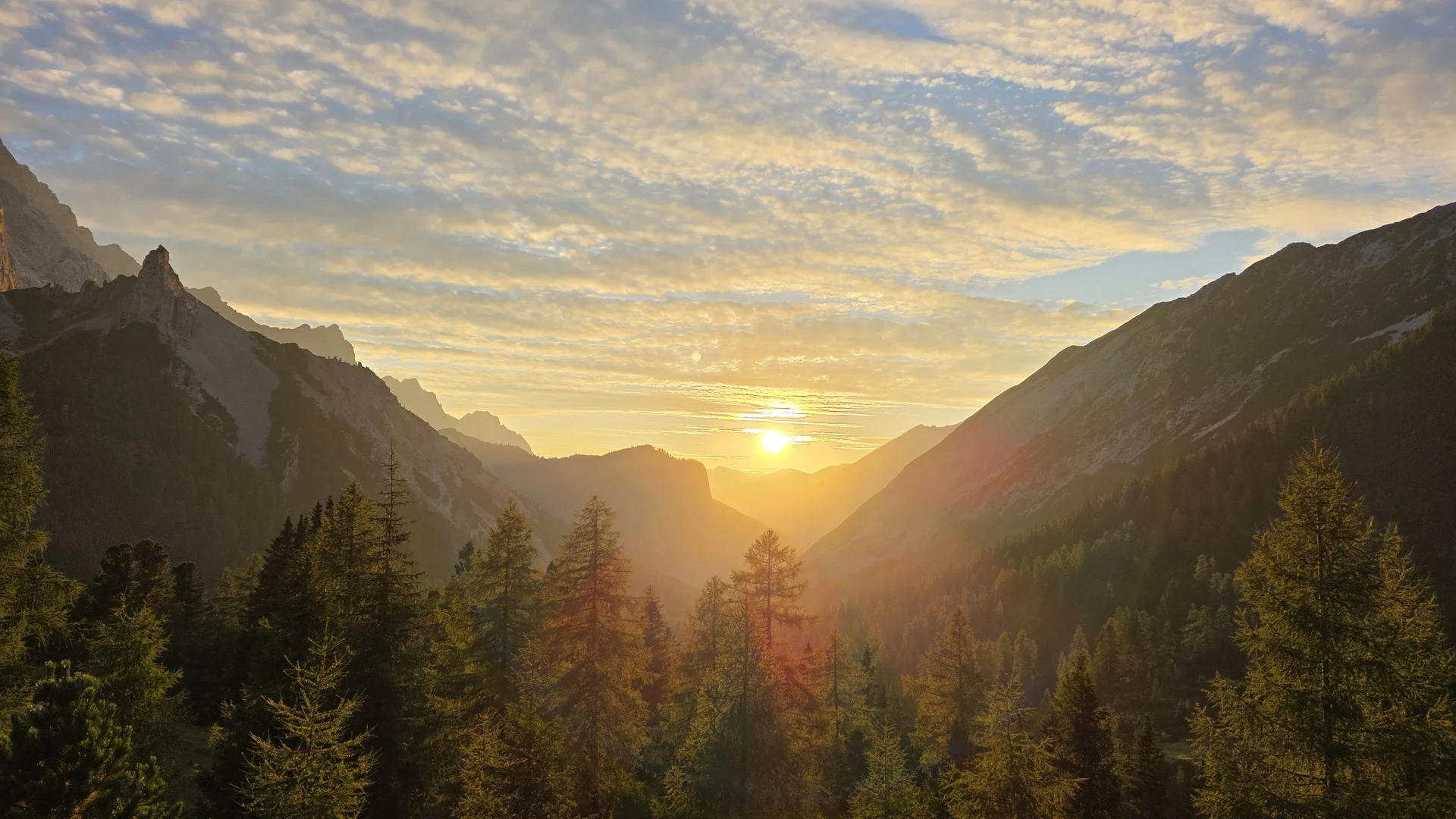 Bianca Brühöfener | © Bianca Brühöfener