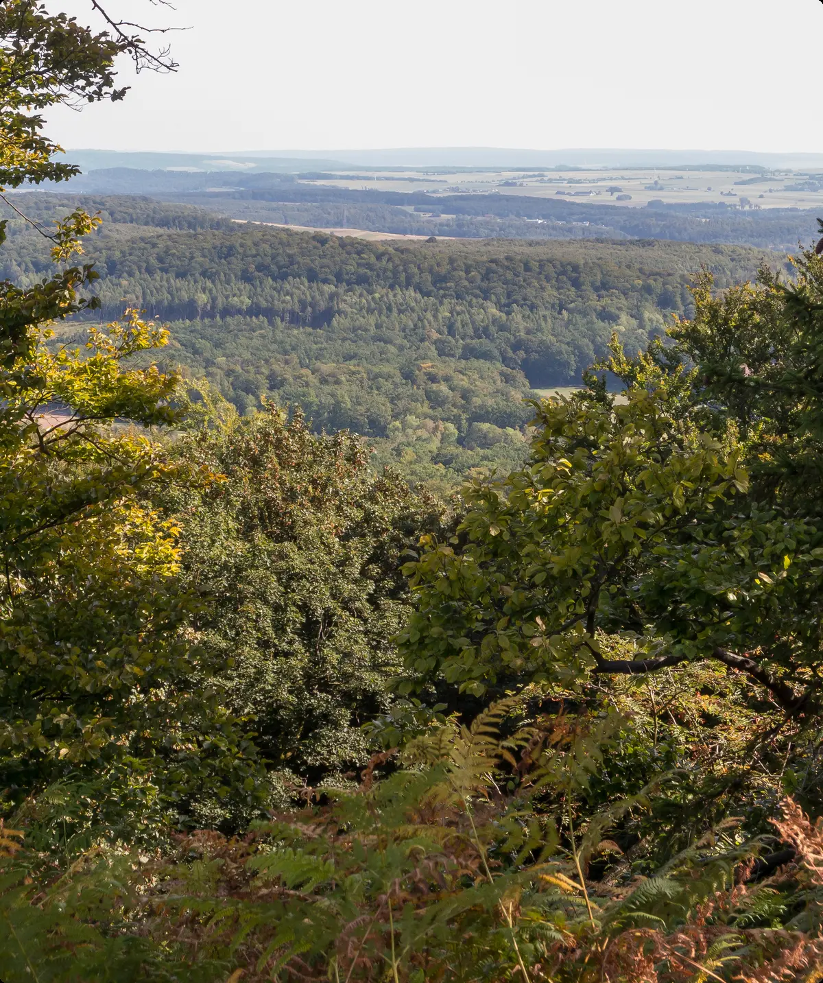 Blick ins Tal | © DAV OG GT