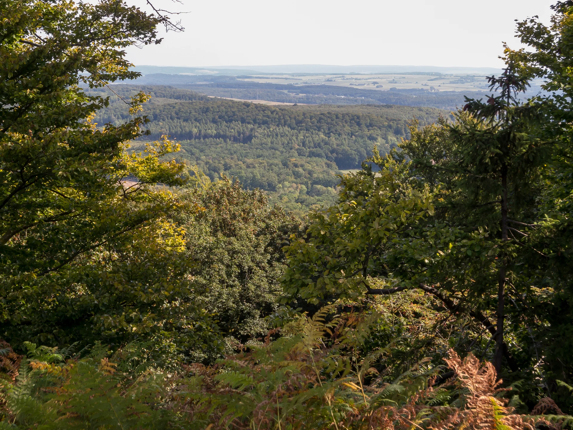 Blick ins Tal | © DAV OG GT