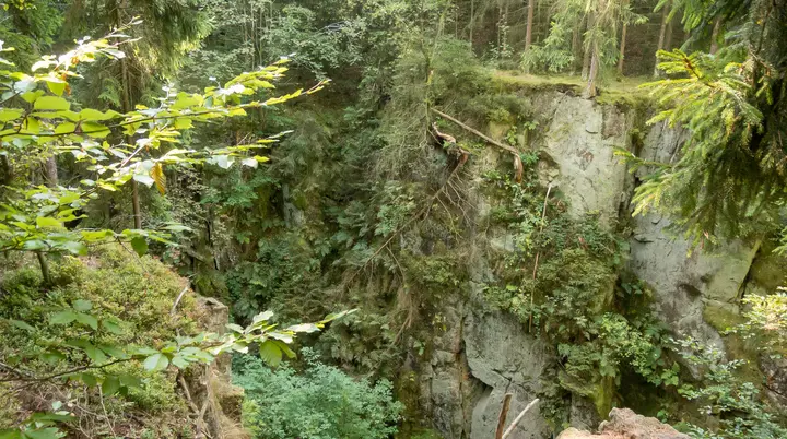 Schlucht mit Bäumen | © DAV OG GT