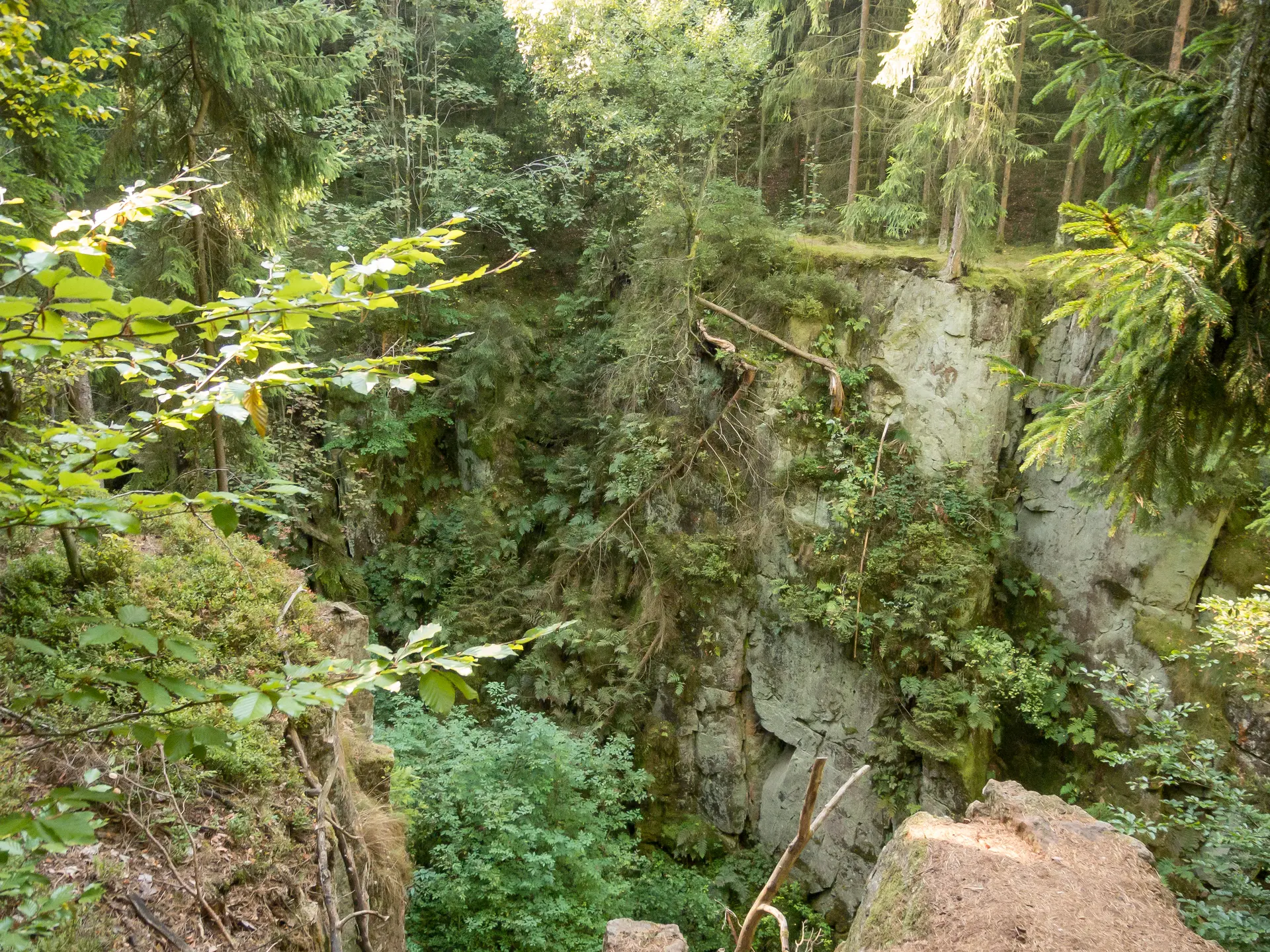 Schlucht mit Bäumen | © DAV OG GT