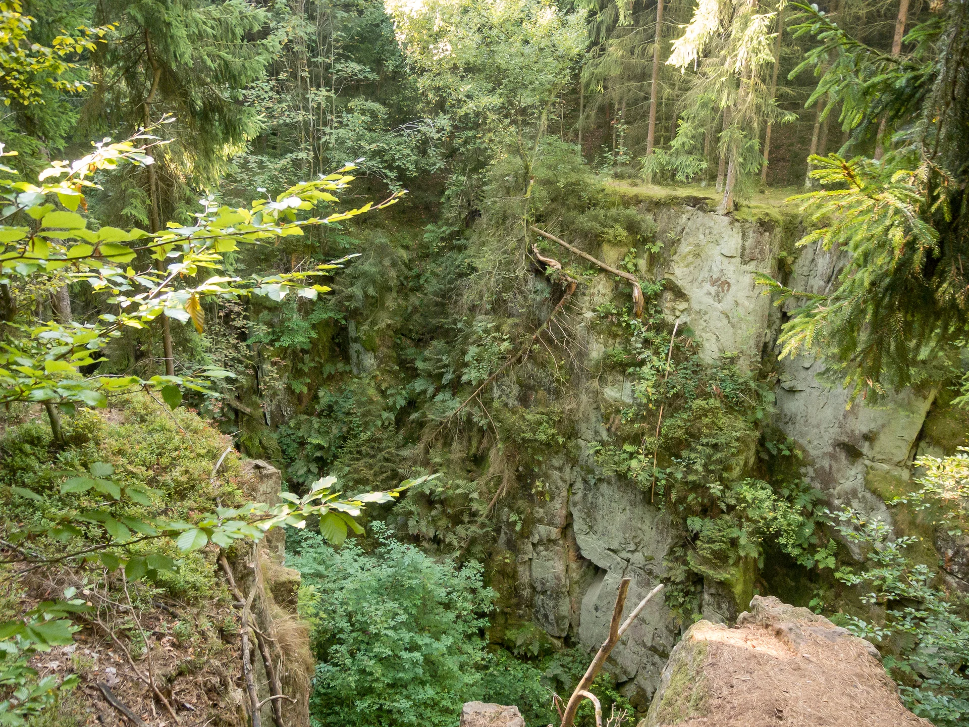 Schlucht mit Bäumen | © DAV OG GT