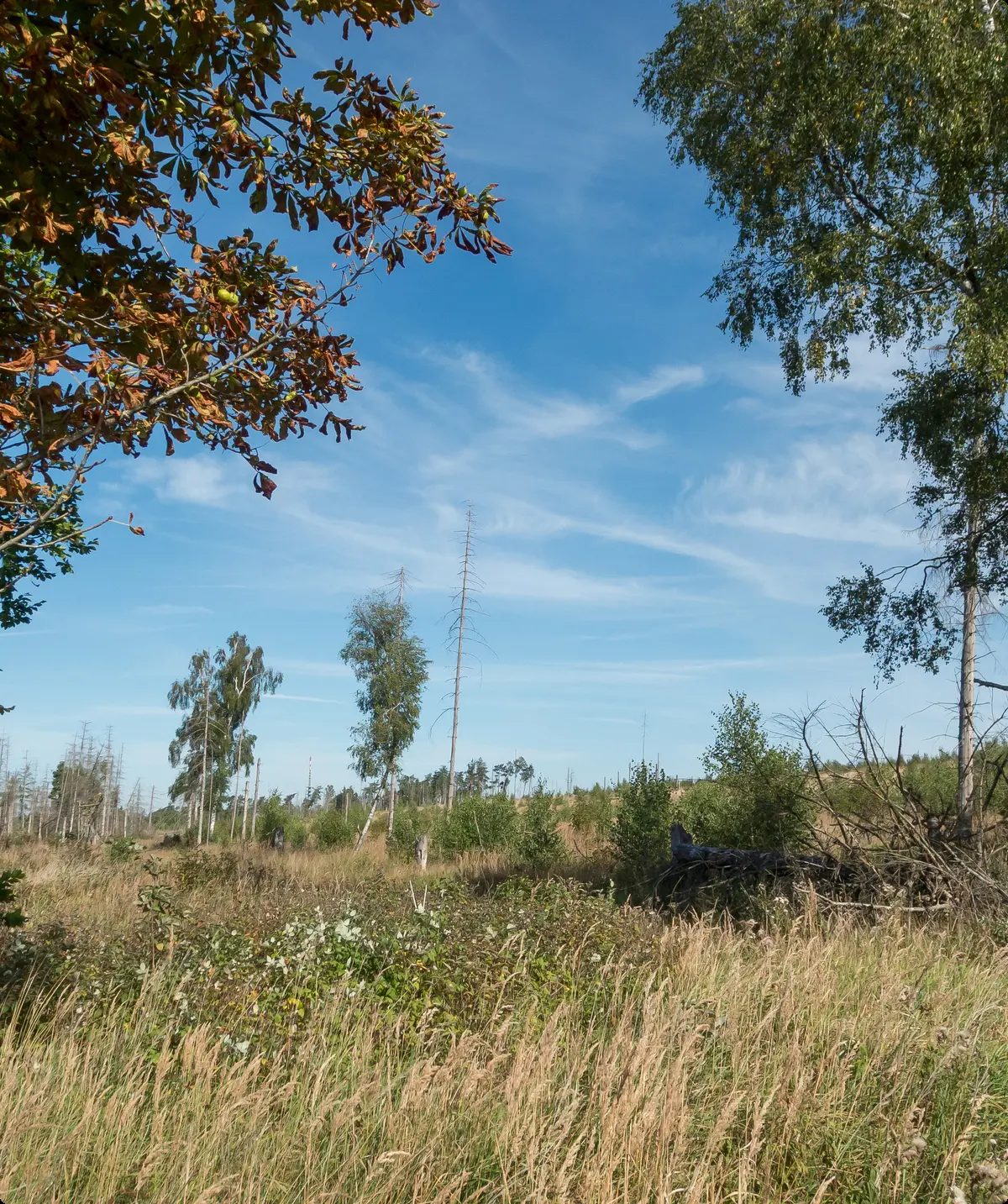 Blick in die Landschaft mit Hügel | © DAV OG GT