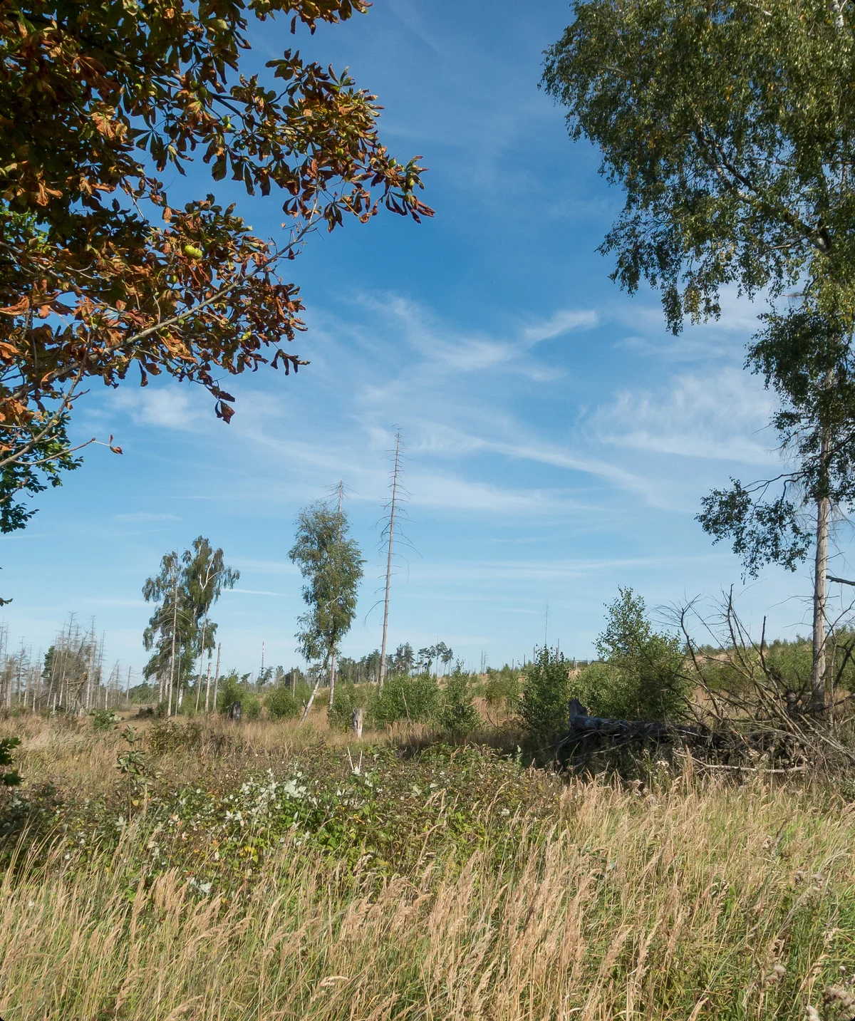 Blick in die Landschaft mit Hügel | © DAV OG GT