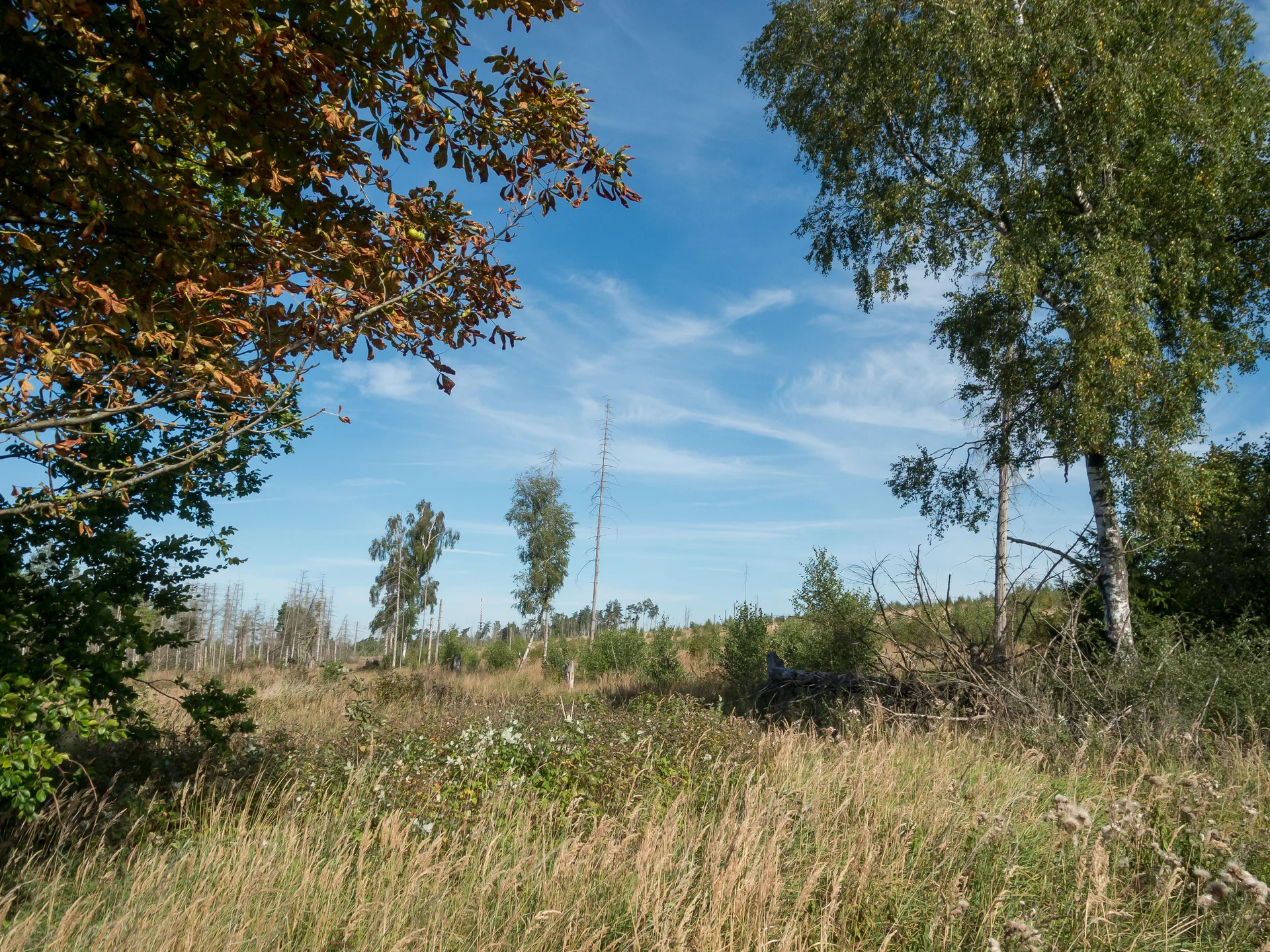 Blick in die Landschaft mit Hügel | © DAV OG GT
