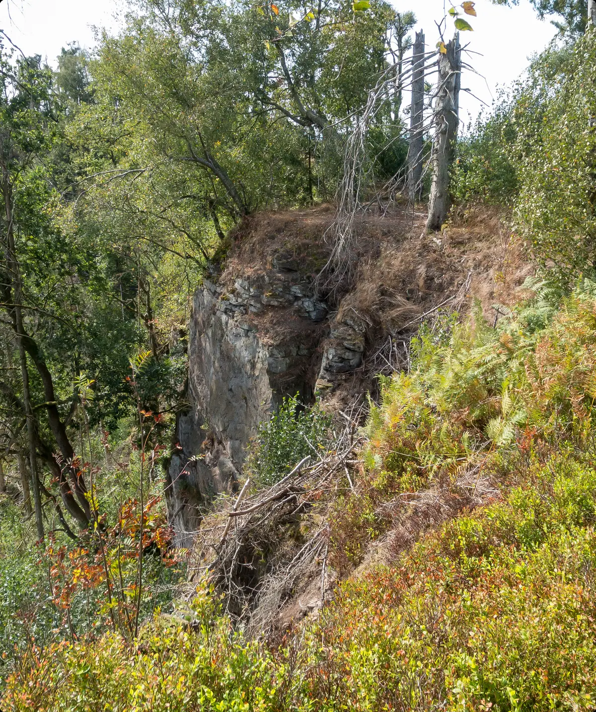 Blick auf Fels | © DAV OG GT