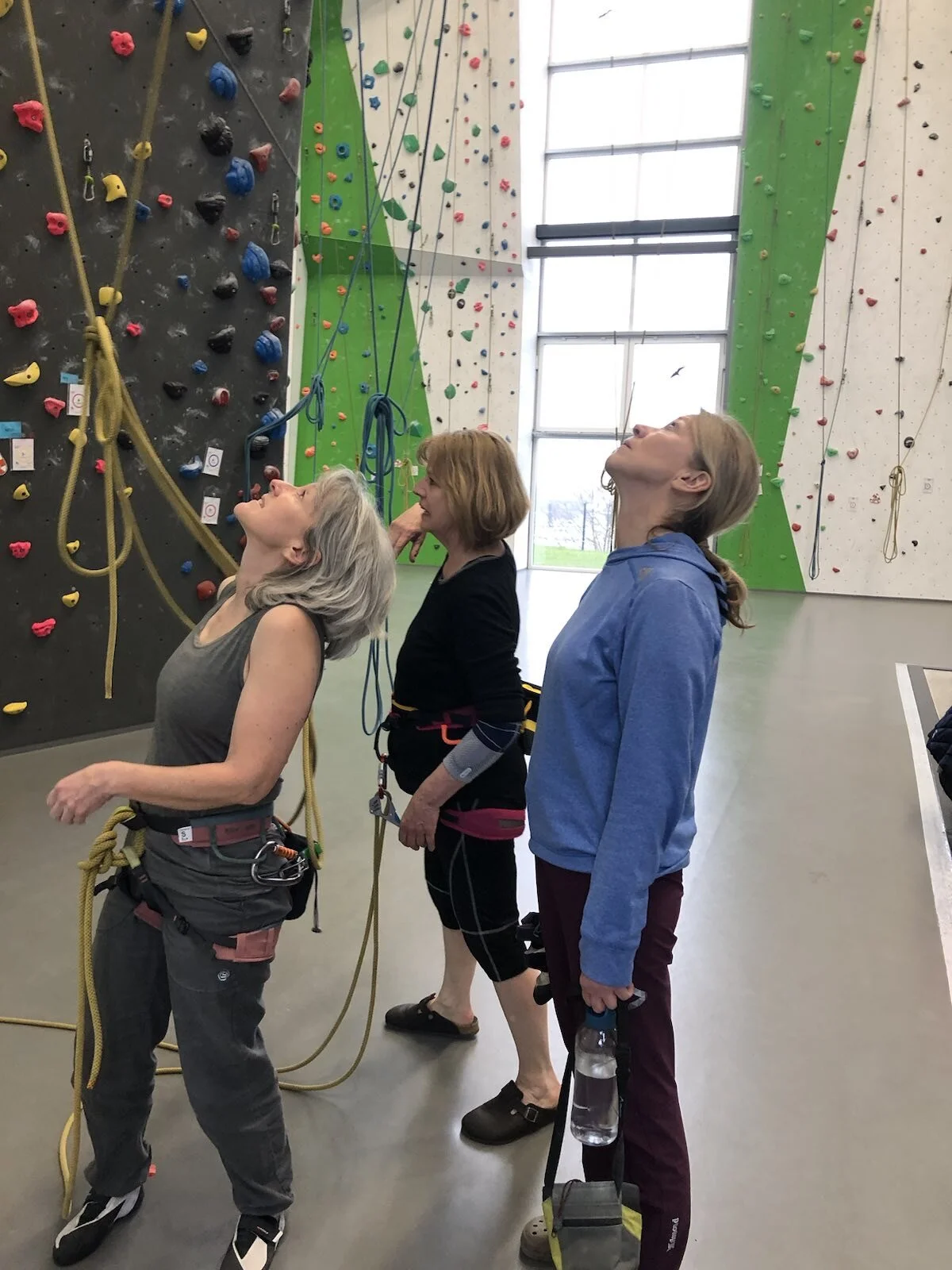 Frauenklettergruppe 50+ | © DAV Bielefeld