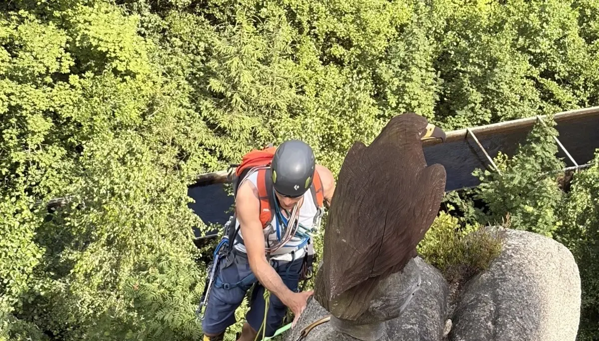 „Blick von oben auf eine Person beim Klettern an einem felsigen Gipfel. Die Person trägt einen Kletterhelm, einen Rucksack und ist mit Seil und Sicherungsmaterial am Fels gesichert. Direkt neben der Person steht eine große Adlerfigur auf einem Felsen. Unterhalb des Gipfels und im Hintergrund befindet sich ein weitläufiger, dichter Laubwald in verschiedenen Grüntönen. Das Bild vermittelt die Höhe des Standorts und die naturnahe Umgebung des Felsens.“ | © Gunnar Helms