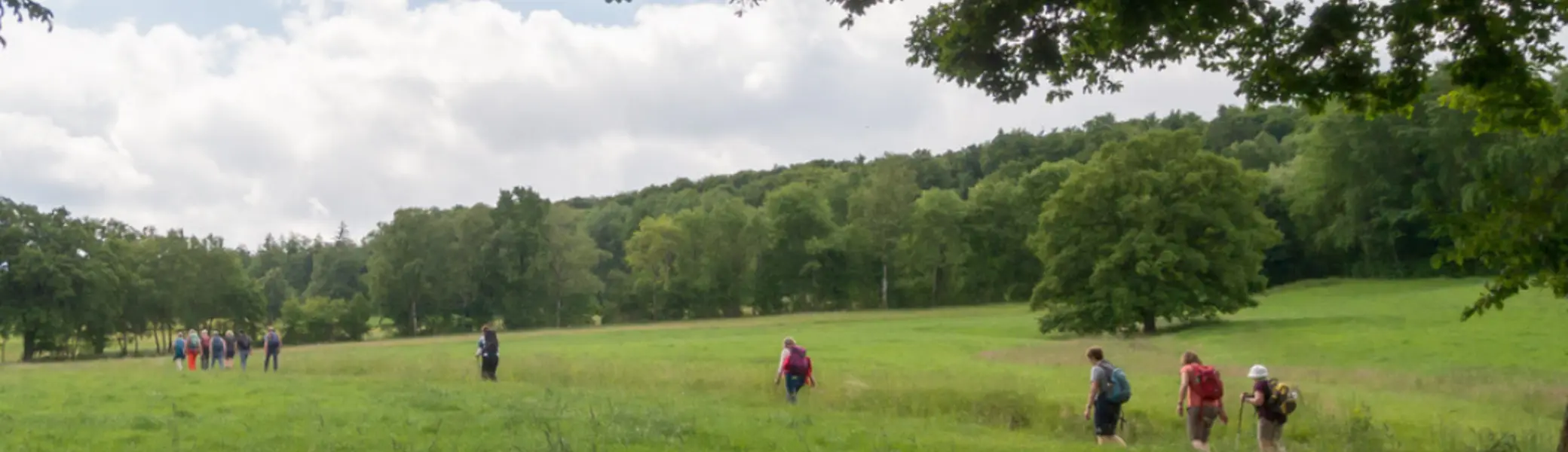 Wanderer die über einem Wanderweg über einer Wiese folgen | © DAV Bielefeld