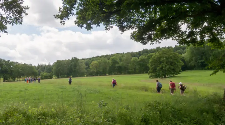 Wanderer die über einem Wanderweg über einer Wiese folgen | © DAV Bielefeld