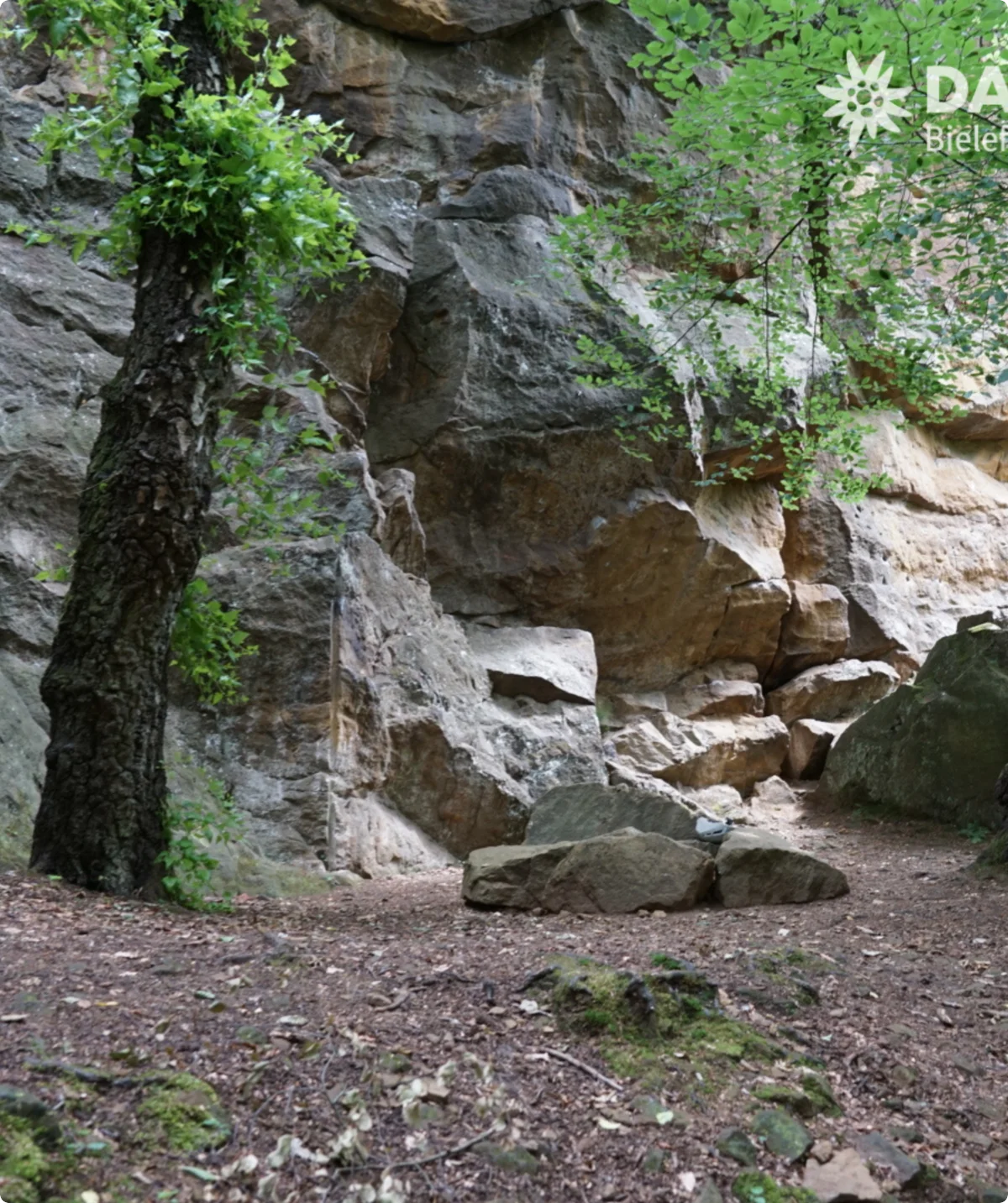 jdav | © DAV Bielefeld