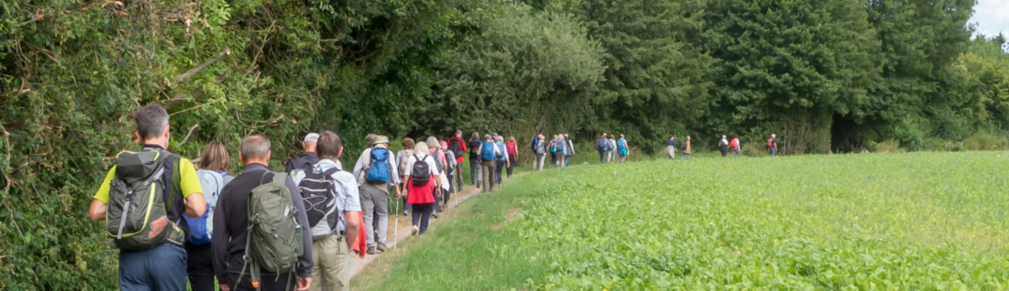 Wanderung durch das Geisterholz  | © DAV Bielefeld