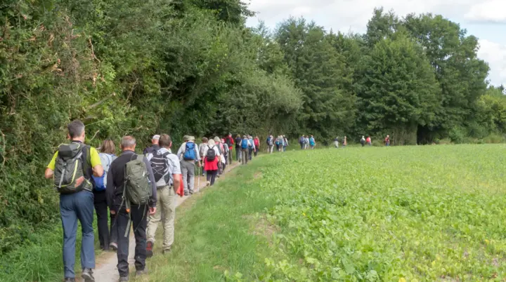 Wanderung durch das Geisterholz  | © DAV Bielefeld