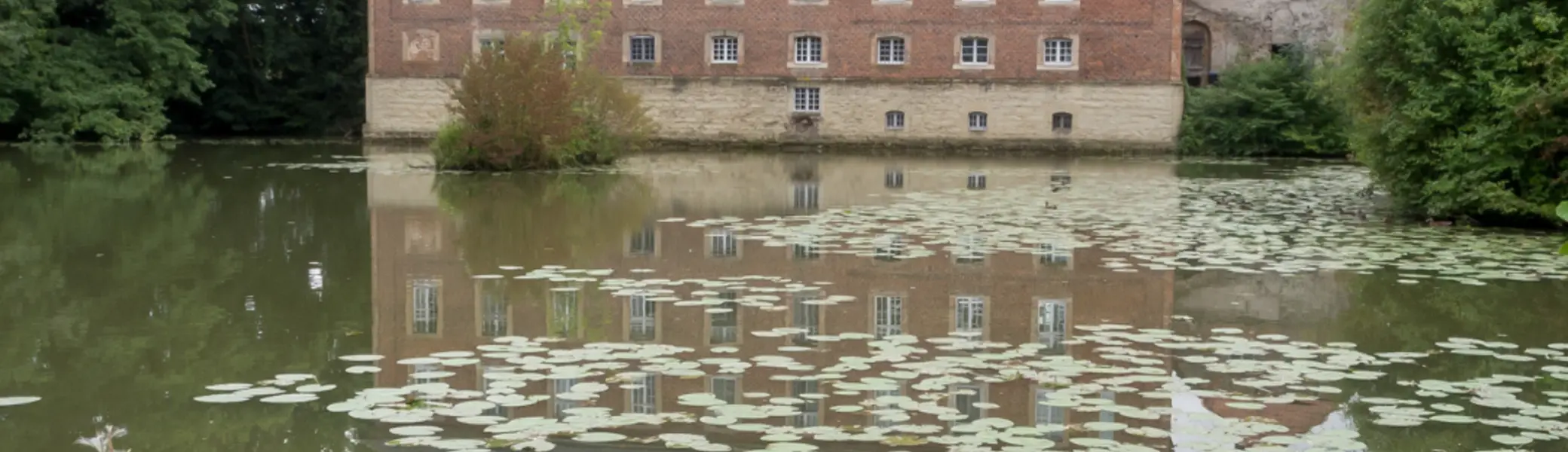 Wanderung durch das Geisterholz  | © DAV Bielefeld