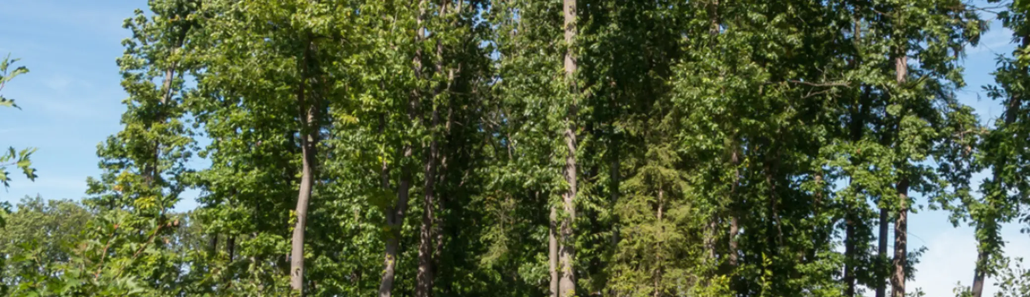 Wanderung am Wilderer Wanderweg  | © DAV Bielefeld