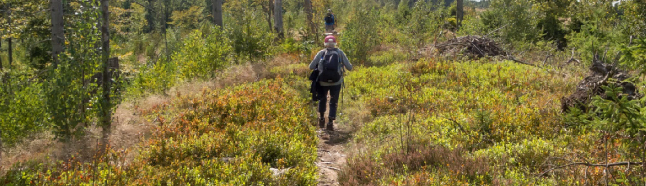 Wanderung am Wilderer Wanderweg  | © DAV Bielefeld