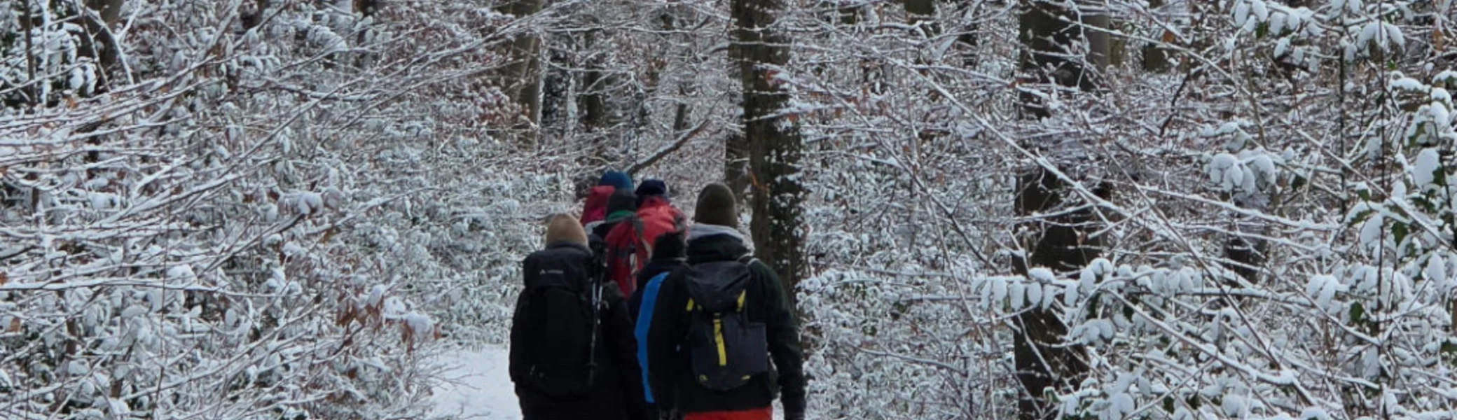 Gruppenfoto im Schnee | © DAV Bielefeld