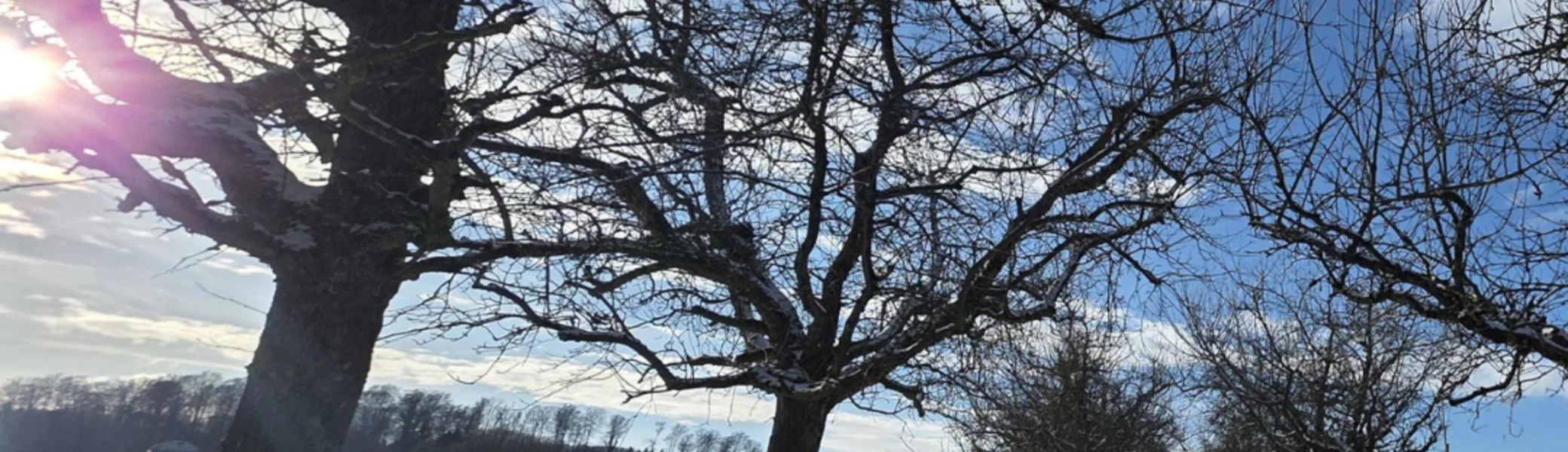 Winterlandschaft | © DAV Bielefeld