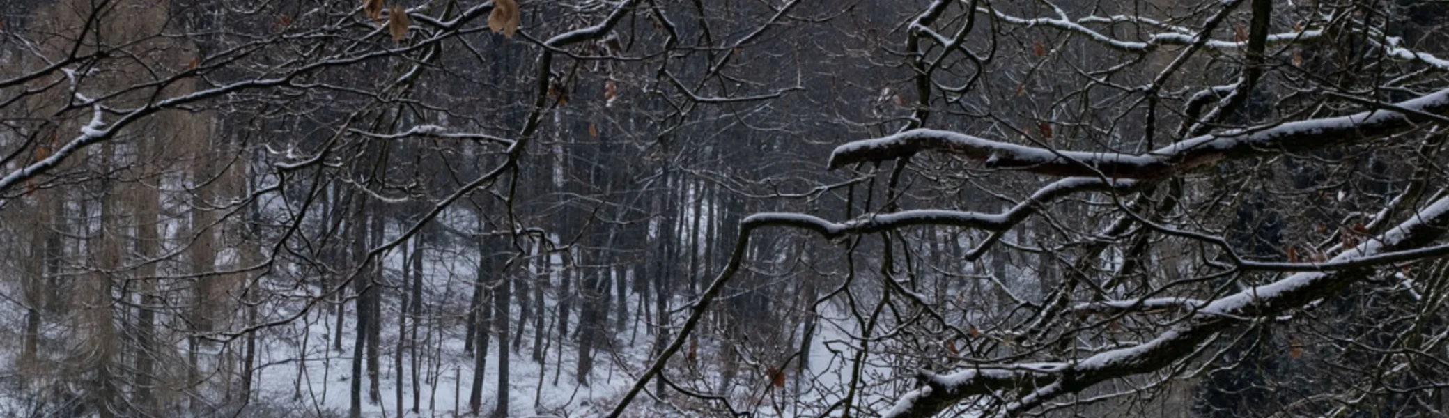 Winterlandschaft | © DAV Bielefeld