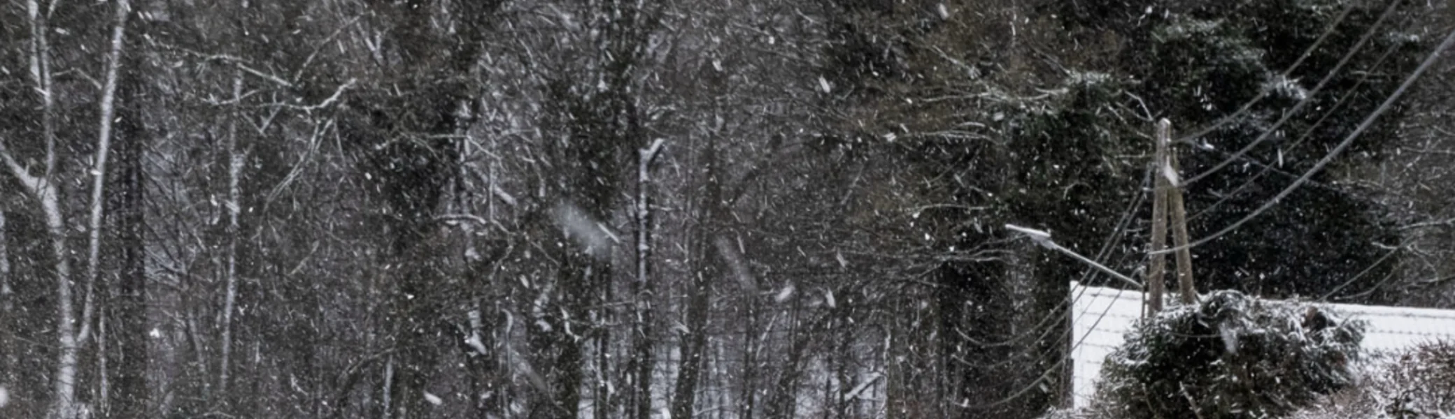 Tour der Gruppe durch den Wald | © DAV Bielefeld