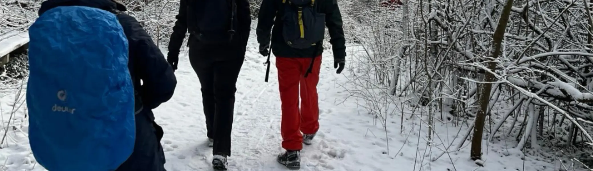 Tour der Gruppe durch den Wald | © DAV Bielefeld