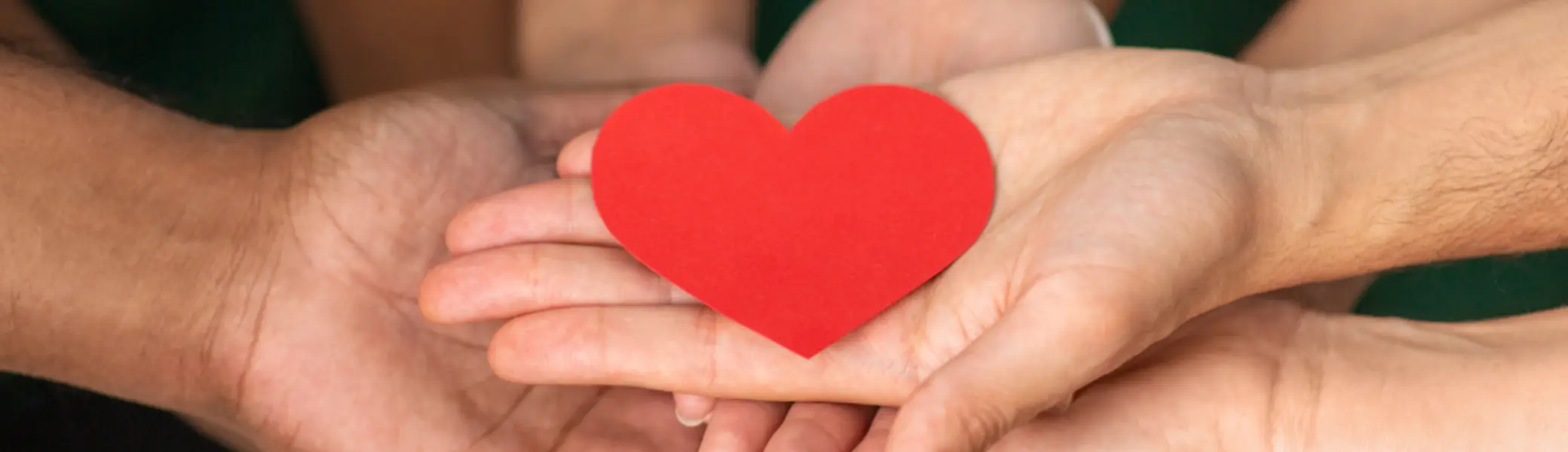 Man kann ganz viele Hände in einem Kreis erkennen mit einem Herzen in der Mitte | © DAV Bielefeld