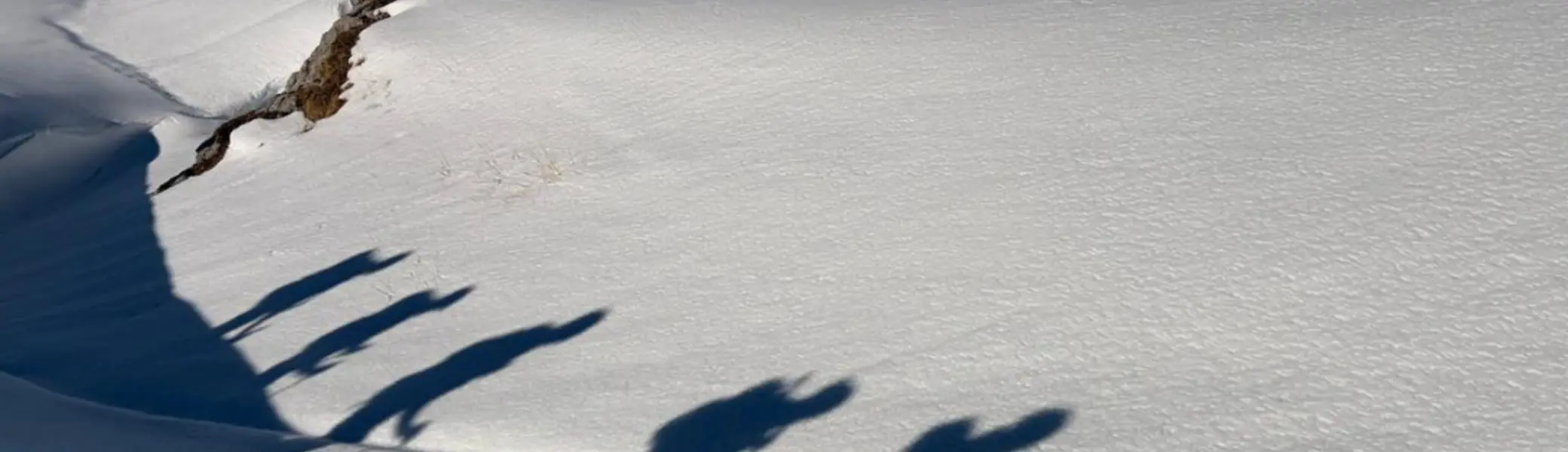 Schatten im Schnee | © Joachim Brenne