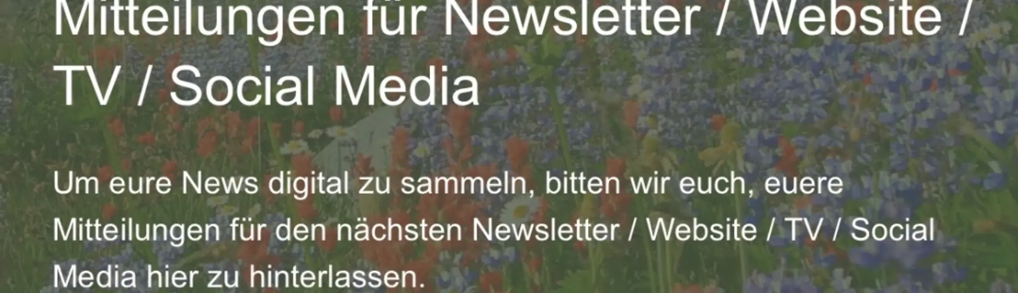 Überschrift des neuen Newsletter News Formulars | © Nicole Laska