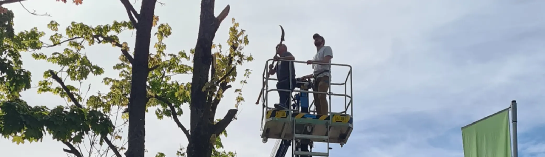 Zwei Personen stehen in einem Arbeitskorb einer Hebebühne und schneiden Äste eines hohen Baumes. Der Himmel ist hell und leicht bewölkt, die Sonne scheint durch die Blätter. Im Hintergrund sind ein Haus mit rotem Dach und eine grüne Fahne mit dem Logo „DAV Bielefeld“ zu sehen. | © Thomas Fromme