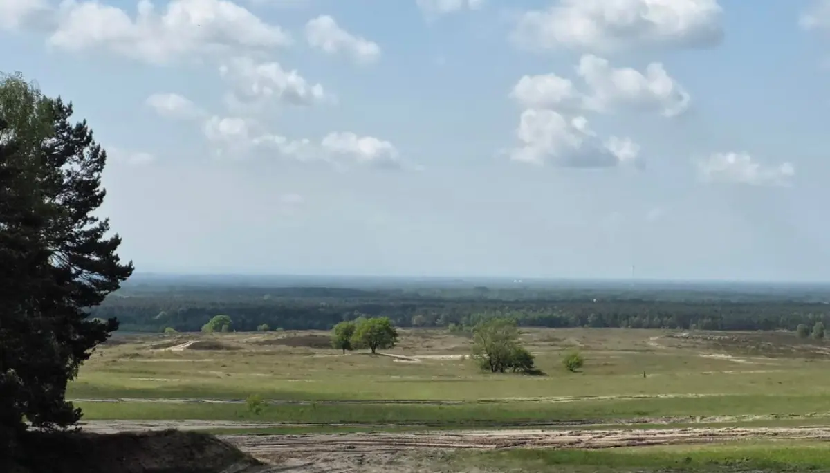 Weite Landschaft mit sandigen Flächen im Vordergrund und grünen Wiesen dahinter. Einzelne Bäume stehen verstreut, am Horizont ist ein dichter Wald zu sehen. Der Himmel ist hellblau mit weißen, lockeren Wolken. Links im Bild ragt eine dunkle Baumkrone ins Bild. Oben rechts befindet sich das Logo „DAV Bielefeld“. | © Bianca Brühöfener