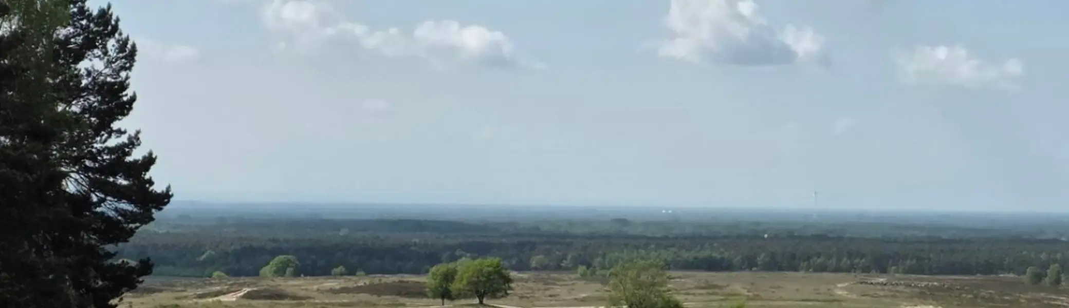 Weite Landschaft mit sandigen Flächen im Vordergrund und grünen Wiesen dahinter. Einzelne Bäume stehen verstreut, am Horizont ist ein dichter Wald zu sehen. Der Himmel ist hellblau mit weißen, lockeren Wolken. Links im Bild ragt eine dunkle Baumkrone ins Bild. Oben rechts befindet sich das Logo „DAV Bielefeld“. | © Bianca Brühöfener