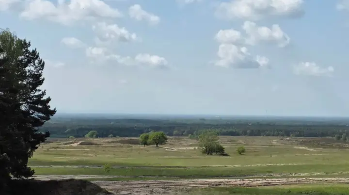 Weite Landschaft mit sandigen Flächen im Vordergrund und grünen Wiesen dahinter. Einzelne Bäume stehen verstreut, am Horizont ist ein dichter Wald zu sehen. Der Himmel ist hellblau mit weißen, lockeren Wolken. Links im Bild ragt eine dunkle Baumkrone ins Bild. Oben rechts befindet sich das Logo „DAV Bielefeld“. | © Bianca Brühöfener