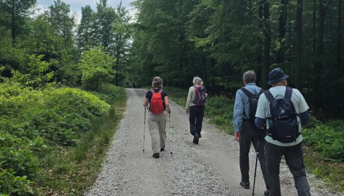 Vier Personen wandern auf einem breiten, geschotterten Waldweg. Sie tragen Rucksäcke und Wanderkleidung, zwei von ihnen nutzen Wanderstöcke. Der Weg führt durch dichten, grünen Laubwald unter einem leicht bewölkten Himmel. Oben rechts im Bild ist das Logo „DAV Bielefeld“ zu sehen. | © Bianca Brühöfener
