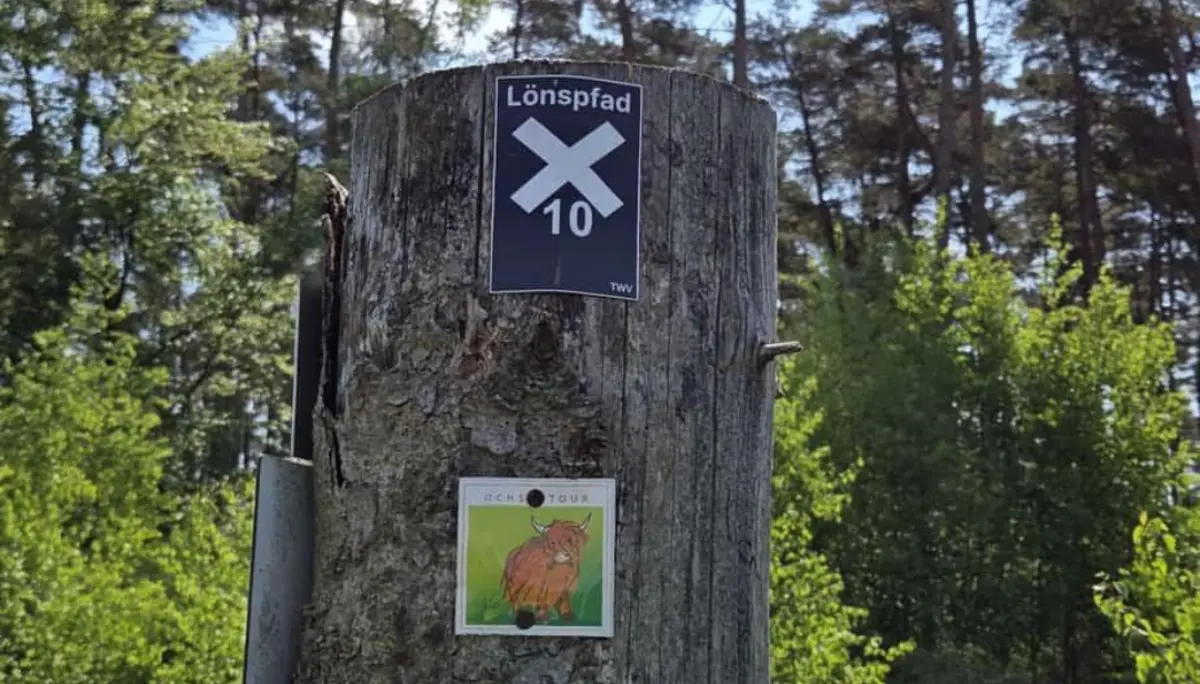 Ein Baumstumpf steht am Waldrand unter blauem Himmel. Auf dem Stamm sind zwei Schilder befestigt: oben ein dunkles Schild mit weißem Kreuz und der Aufschrift „Lönspfad 10“, darunter ein kleineres Schild mit einer Illustration eines orangefarbenen Fuchses und dem Text „Schön Tour“. Im Hintergrund sind grüne Bäume und Sträucher zu sehen. Oben rechts befindet sich das Logo „DAV Bielefeld“. | © Bianca Brühöfener