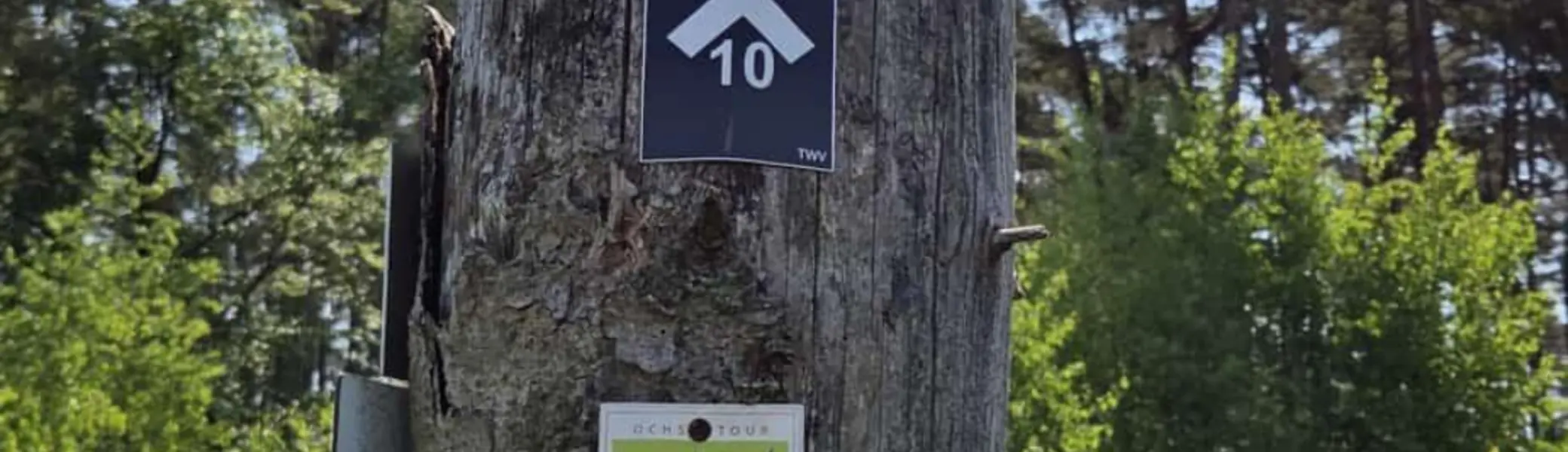 Ein Baumstumpf steht am Waldrand unter blauem Himmel. Auf dem Stamm sind zwei Schilder befestigt: oben ein dunkles Schild mit weißem Kreuz und der Aufschrift „Lönspfad 10“, darunter ein kleineres Schild mit einer Illustration eines orangefarbenen Fuchses und dem Text „Schön Tour“. Im Hintergrund sind grüne Bäume und Sträucher zu sehen. Oben rechts befindet sich das Logo „DAV Bielefeld“. | © Bianca Brühöfener
