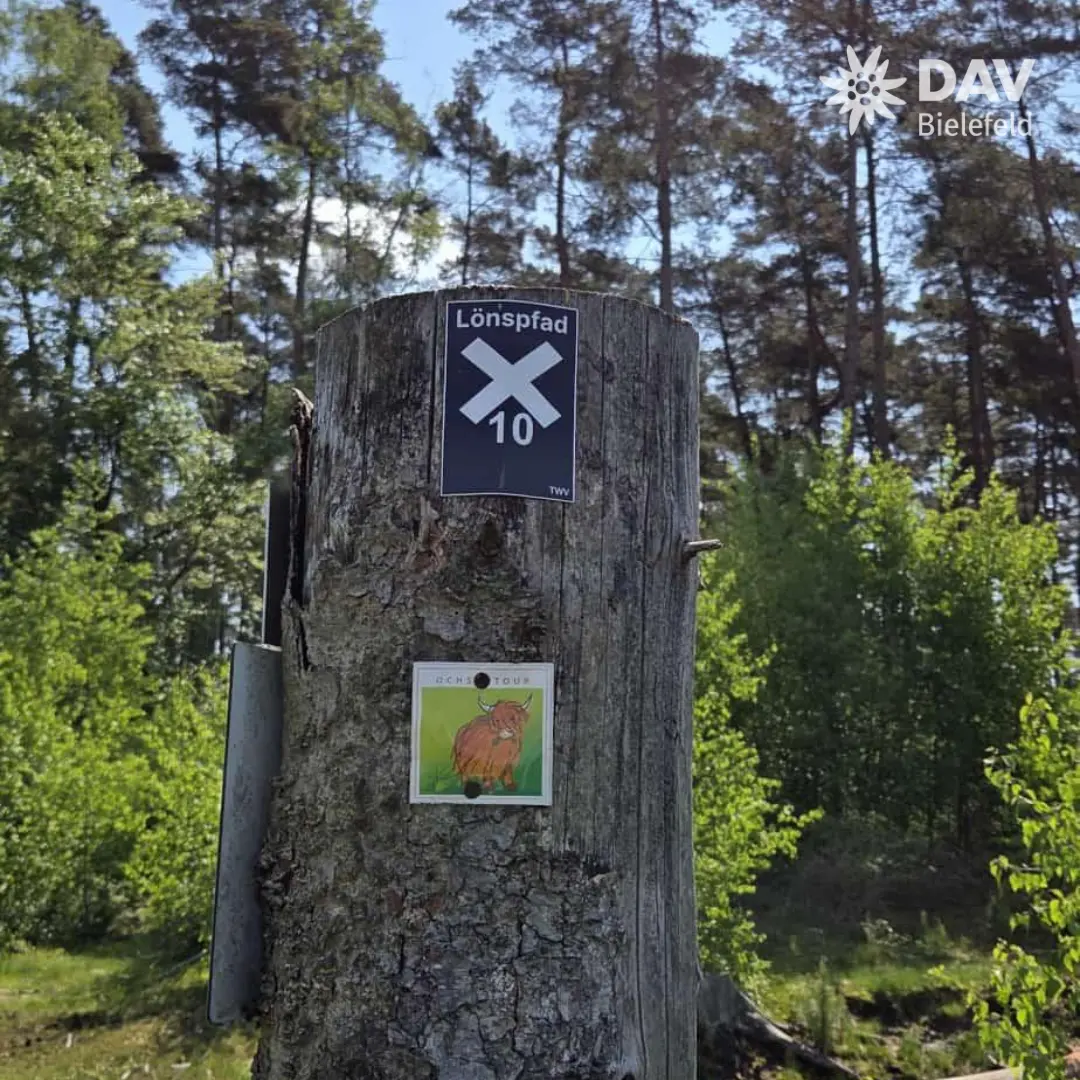 Ein Baumstumpf steht am Waldrand unter blauem Himmel. Auf dem Stamm sind zwei Schilder befestigt: oben ein dunkles Schild mit weißem Kreuz und der Aufschrift „Lönspfad 10“, darunter ein kleineres Schild mit einer Illustration eines orangefarbenen Fuchses und dem Text „Schön Tour“. Im Hintergrund sind grüne Bäume und Sträucher zu sehen. Oben rechts befindet sich das Logo „DAV Bielefeld“. | © Bianca Brühöfener