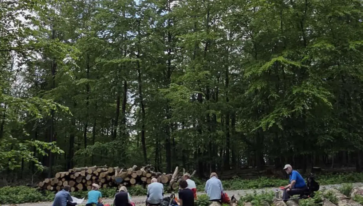 Mehrere Personen sitzen auf gefällten Baumstämmen in einem Wald und machen eine Pause. Die Stämme liegen parallel auf dem Boden, zwischen ihnen wächst grünes Farn. Im Hintergrund steht ein Stapel aufgeschichteter Holzstämme, dahinter dichter Laubwald unter einem leicht bewölkten Himmel. Oben rechts im Bild ist das Logo „DAV Bielefeld“ zu sehen. | © Bianca Brühöfener