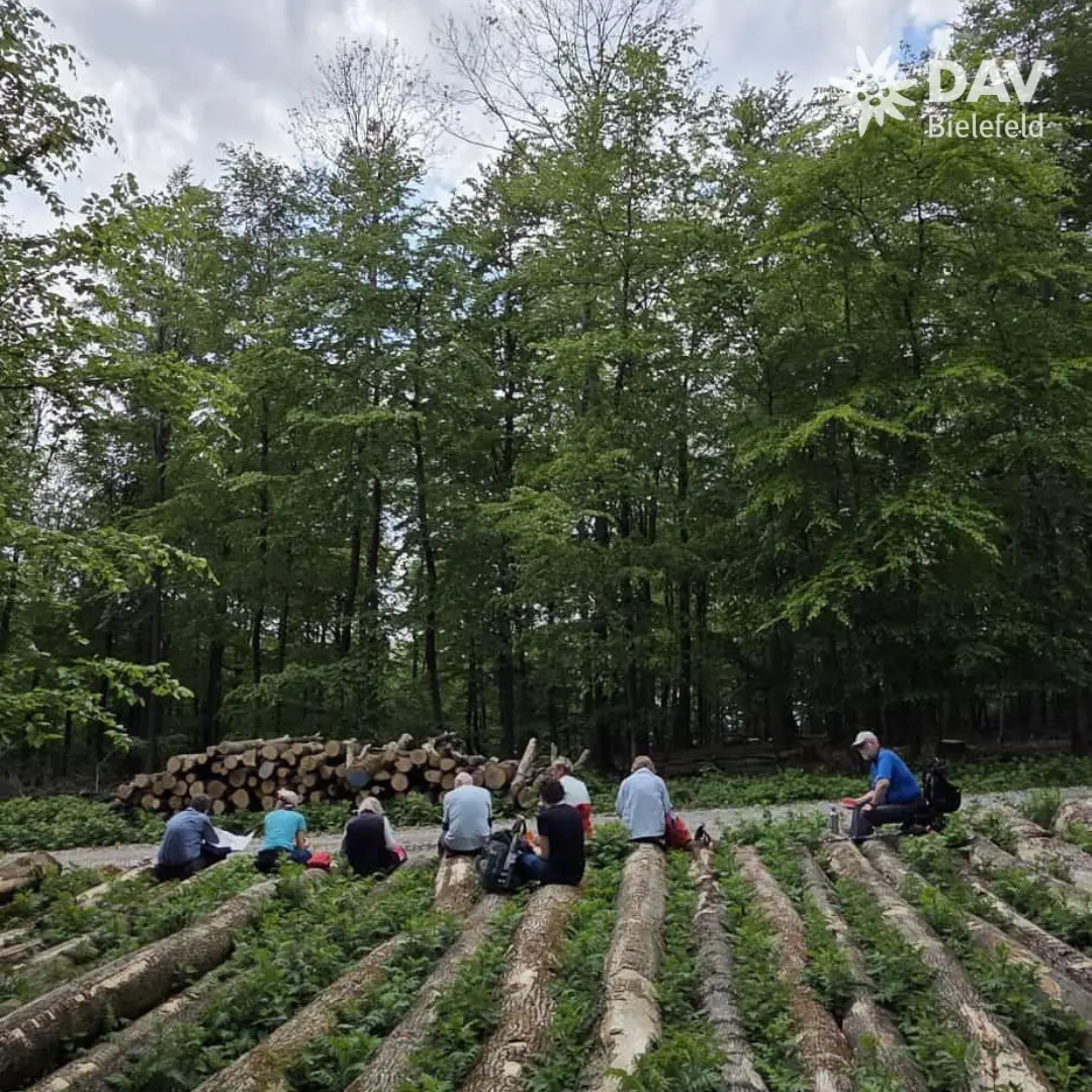 Mehrere Personen sitzen auf gefällten Baumstämmen in einem Wald und machen eine Pause. Die Stämme liegen parallel auf dem Boden, zwischen ihnen wächst grünes Farn. Im Hintergrund steht ein Stapel aufgeschichteter Holzstämme, dahinter dichter Laubwald unter einem leicht bewölkten Himmel. Oben rechts im Bild ist das Logo „DAV Bielefeld“ zu sehen. | © Bianca Brühöfener