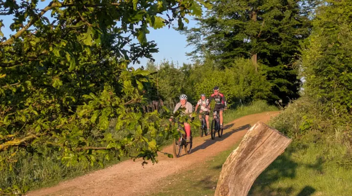 Drei Personen fahren mit Fahrrädern auf einem sonnigen, unbefestigten Weg durch eine grüne Landschaft. Der Weg ist von Bäumen und Sträuchern umgeben, im Vordergrund ragen Zweige und ein gebogener Baumstamm ins Bild. Die Radfahrenden tragen Helme und sportliche Kleidung. Rechts oben befindet sich das Logo „DAV Bielefeld“. | © Jörn Gehring
