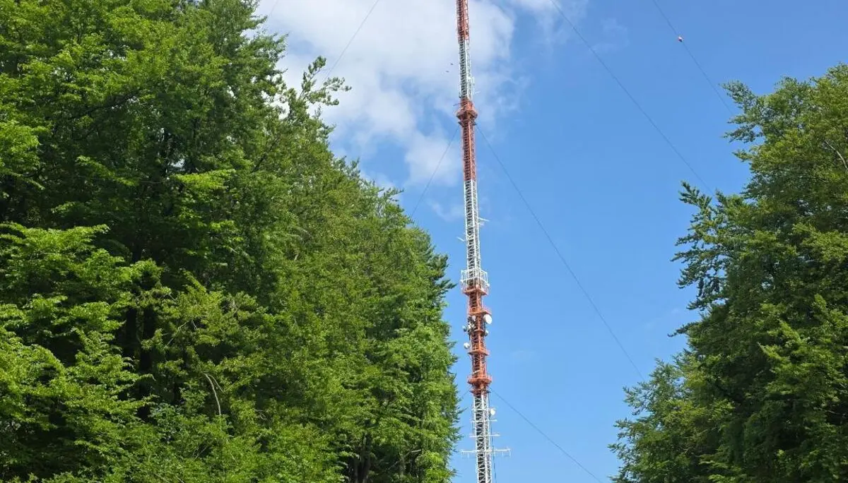Hoher Sendemast in einer Waldlichtung mit Abspannseilen unter blauem Himmel. | © Bianca Brühöfner