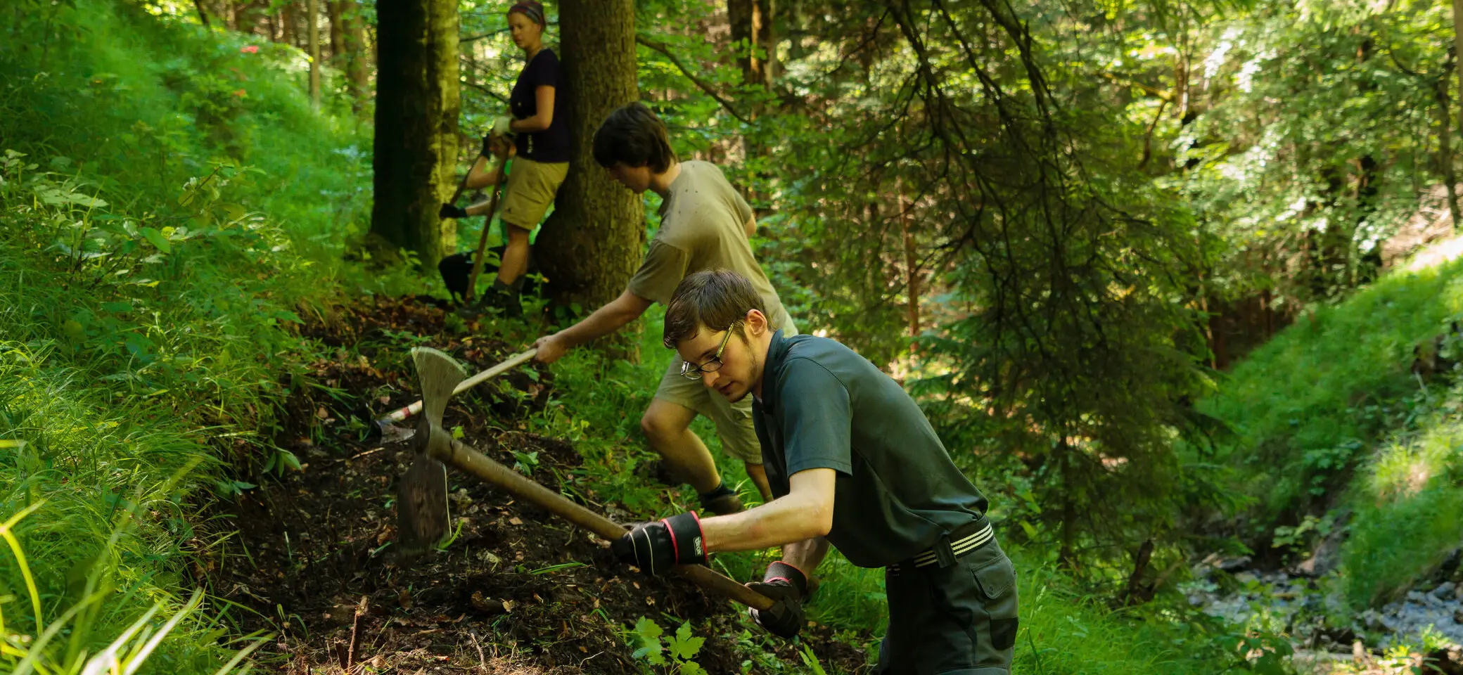 Aktion Schutzwald | © 	DAV/Arvid Uhlig